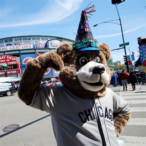 The Impact of Wang: How the Cubs' Mascot Transcends Baseball